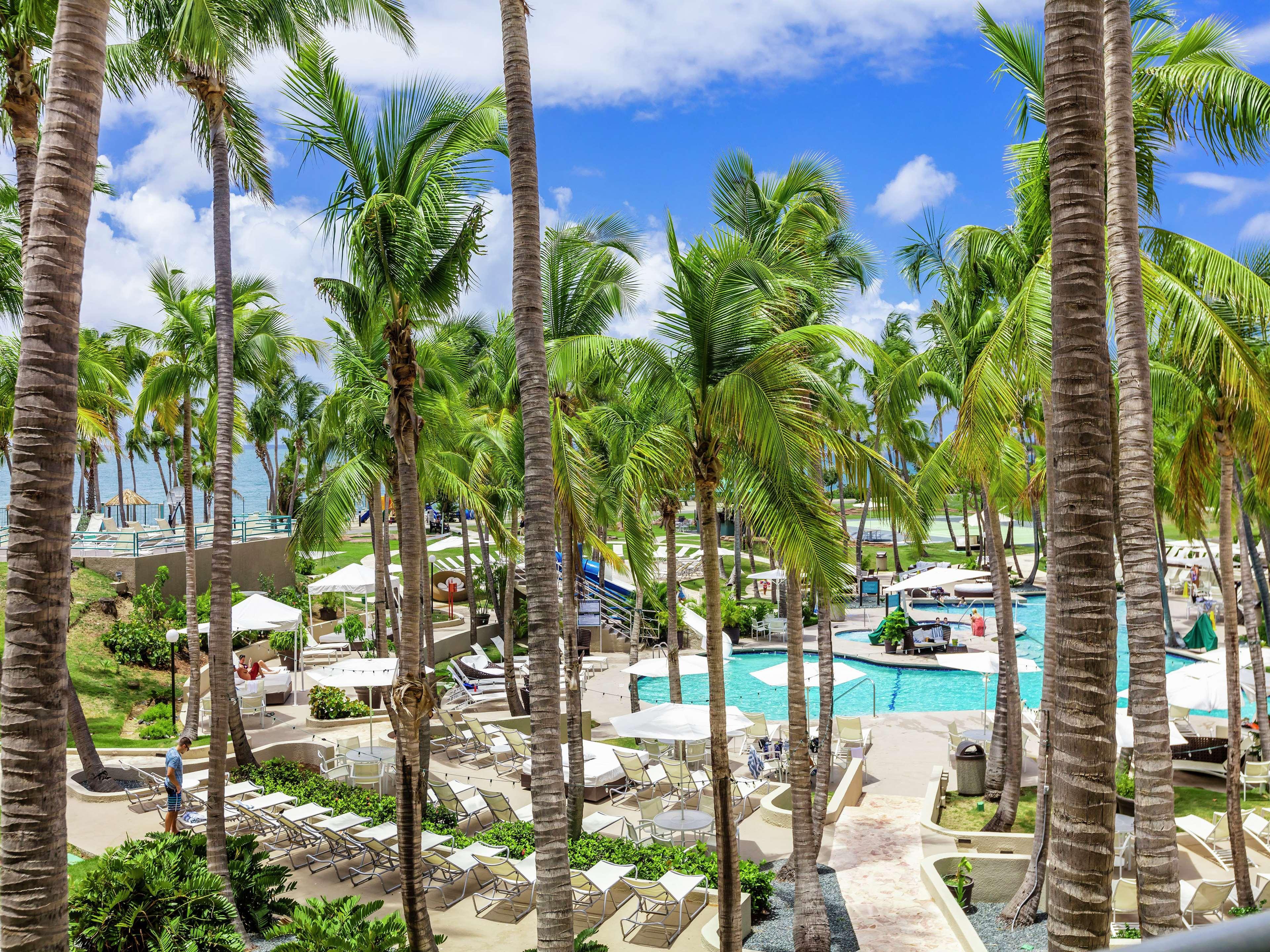 Hilton Ponce Golf & Casino Resort Extérieur photo
